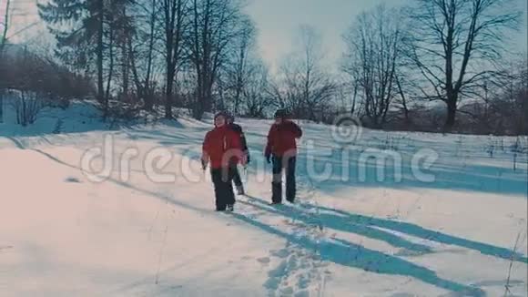 可爱的年轻时髦夫妇在冬天公园里玩得很开心在明亮的日子里拥抱在一起微笑着视频的预览图