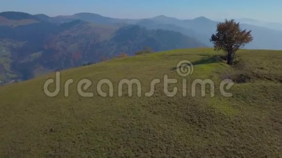 喀尔巴阡山乡村住宅和自然景观视频的预览图