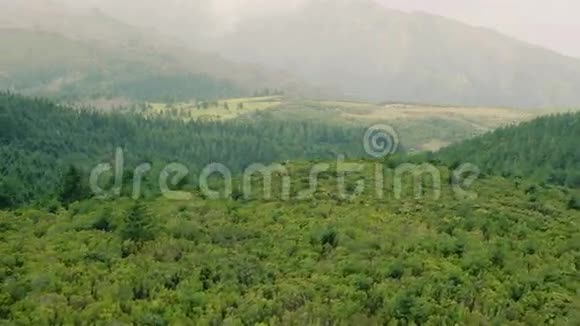 带雾的山青景观鸟瞰图视频的预览图