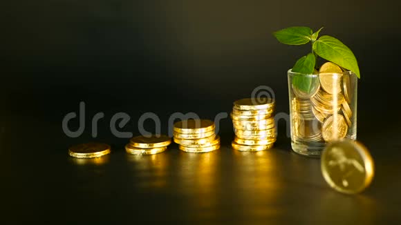 管理效率黑色背景上的金色硬币堆在满玻璃和绿叶上成功视频的预览图