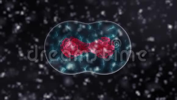 细胞司黑色版本背景在4K医学与科学概念3D视频视频的预览图
