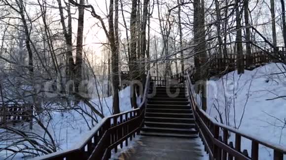 冬天的森林被太阳照亮楼梯在视频的预览图
