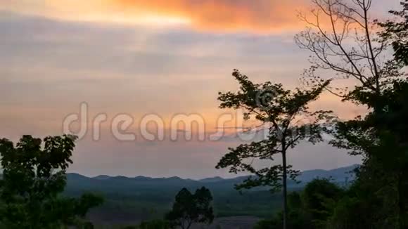 傍晚时分在乔查茂雷昂的橡胶树种植园夕阳西下的天空树的轮廓视频的预览图