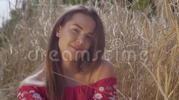 年轻的有趣的女人在令人难以置信的五颜六色的阳光下在麦田里享受大自然和阳光可爱自信的女孩视频的预览图