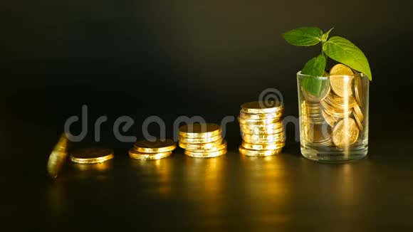 管理效率黑色背景上的金色硬币堆在满玻璃和绿叶上成功视频的预览图