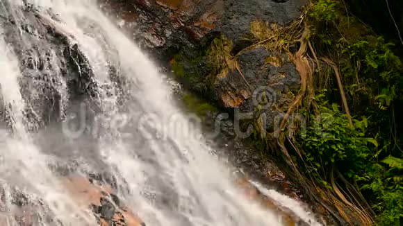 热带国家丛林天堂景观绿色雨林中的瀑布级联从悬崖流出的水流运动视频的预览图