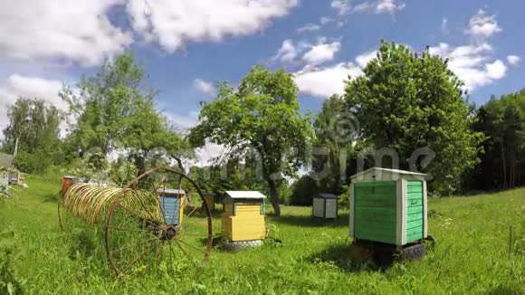 夏季农场花园和云中的旧木蜂窝延时4K视频的预览图