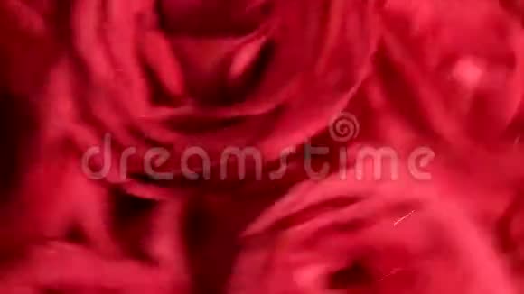 美丽的红玫瑰花束迅速旋转视频的预览图