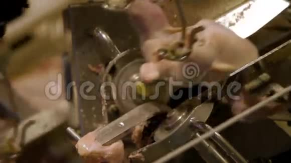 食品加工厂鸡肉视频的预览图