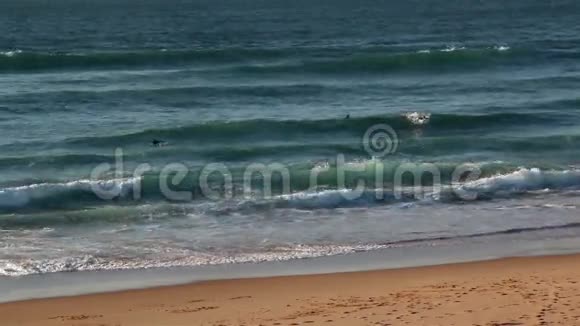 海浪拍打着向海岸靠近视频的预览图