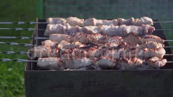 烤架上做的美味烤肉串视频的预览图