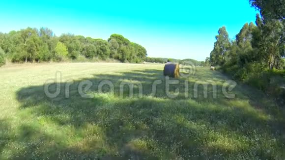 空中绿田与稻草页岩视频的预览图