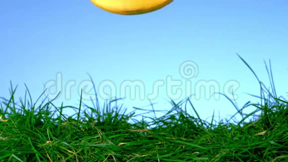 香蕉落在草地上弹跳视频的预览图