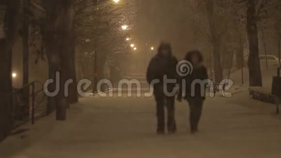晚上在暴风雪中散步的夫妇视频的预览图
