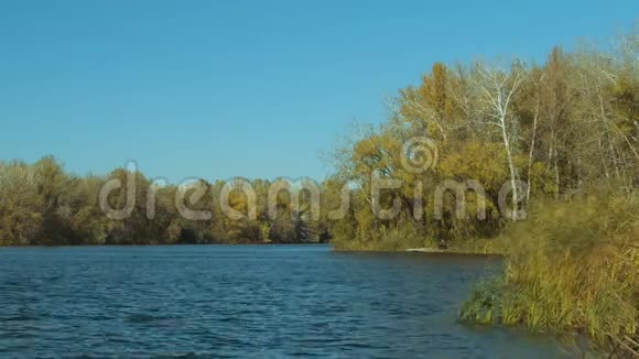 秋天的风景河上的森林视频的预览图