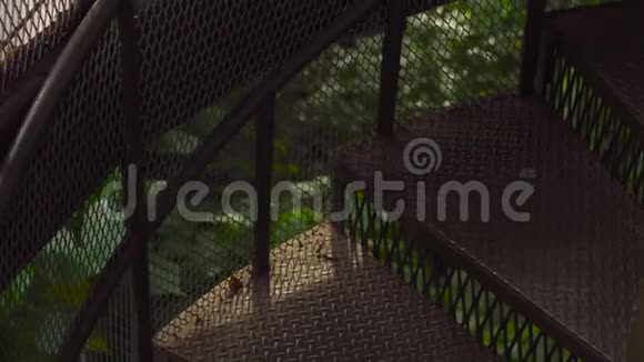 Stadicam拍摄的吉隆坡生态公园吊桥视频的预览图