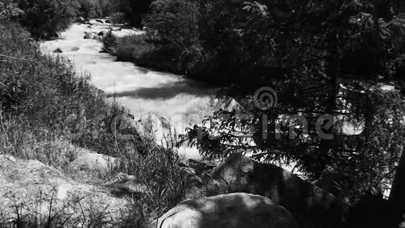 这是黑白相间的拍摄小山小河迅速地在石头上流淌视频的预览图
