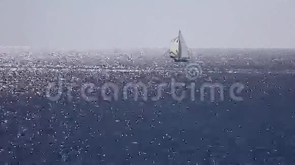 帆船比赛视频的预览图