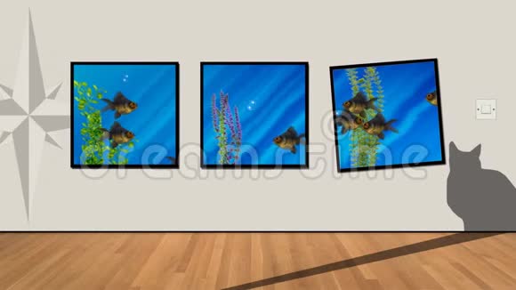 展博览会艺术猫鱼视频的预览图