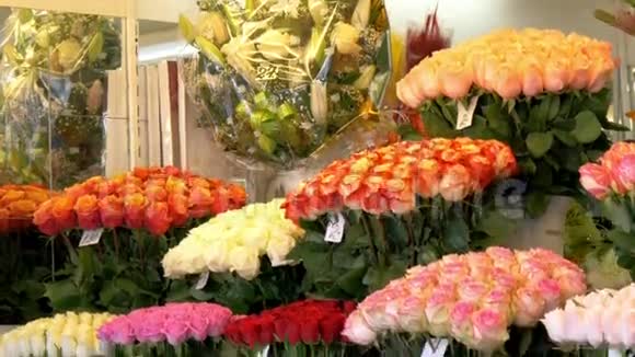 花店GH44KUHD上展出的五颜六色的郁金香视频的预览图