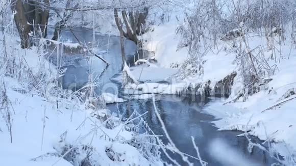 冬天的小溪在森林里下雪冻僵的树枝自然景观视频的预览图