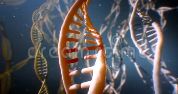 DNA紊乱斯特兰德科学化学和医学概念8k4kUHD视频的预览图