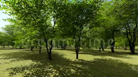 春天果园动画视频的预览图