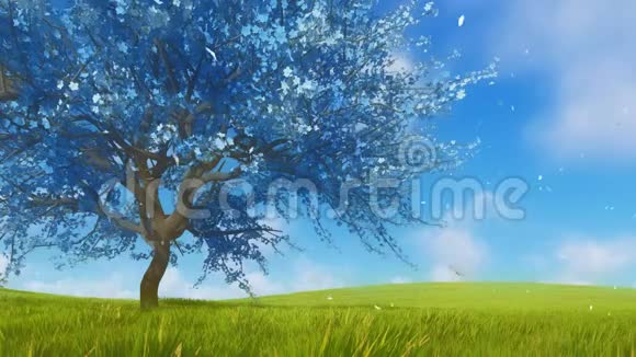 超现实蓝樱花樱花树盛开3D视频的预览图
