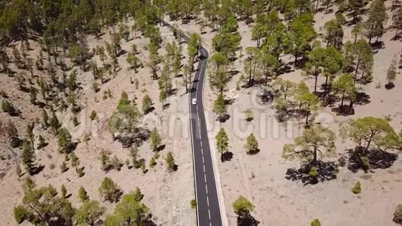 泰德国家公园内有汽车的道路俯视图西班牙加那利群岛特内里费视频的预览图
