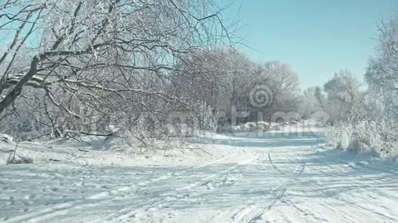 冰冻的冬季景观视频的预览图