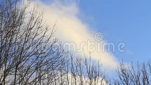 雨云蓝天背景空间树冬天视频的预览图