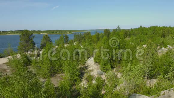 北部景观有松树和尼瓦河俄罗斯视频的预览图