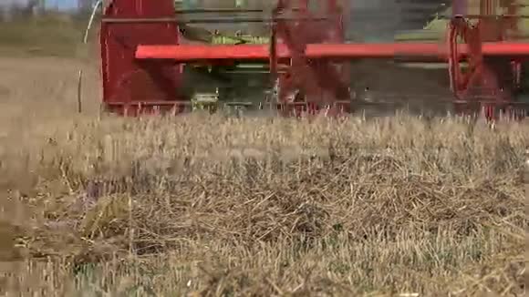 收割机在夏季结合谷物作物领域的工作4K视频的预览图