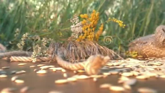大自然中燕麦片和燕麦片的静物视频的预览图