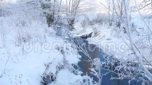 冬天的小溪在森林里下雪冻僵的树枝景观自然视频的预览图