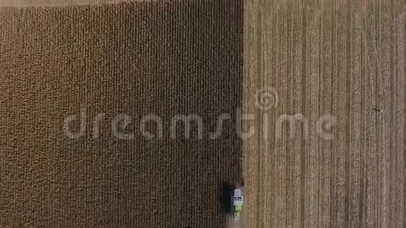 空中无人驾驶飞机在巨大的农田上的视野在作物时期的卡车视频的预览图