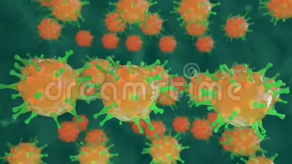 细菌细胞通过显微镜取景器视频的预览图