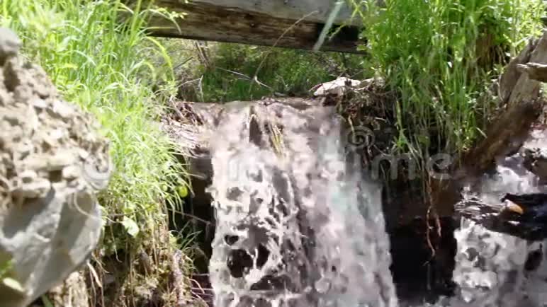 林中一个小瀑布干净西伯利亚视频的预览图