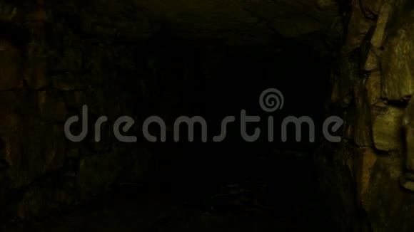 地下研究人员在地下隧道中攀爬穿过泥浆视频的预览图