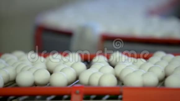 传送带上的鸡蛋慢动作视频的预览图