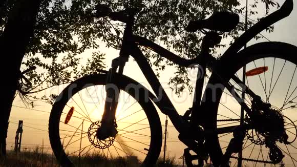 夕阳下美丽的自行车近景视频的预览图