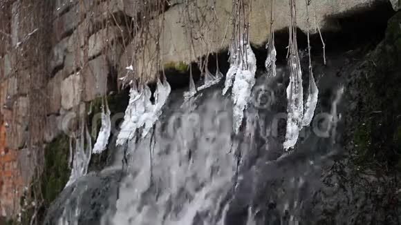 亚历山大里亚公园的瀑布视频的预览图