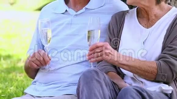 老两口在公园里一起喝香槟放松视频的预览图