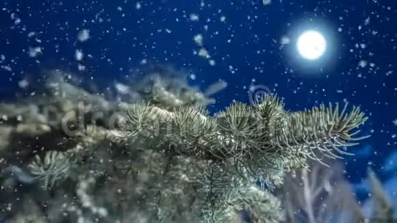圣诞老人在满月的背景下在夜空中飞翔新年概念动画美丽的夜晚视频的预览图
