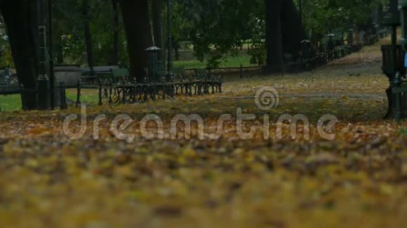 秋天公园景观视频的预览图