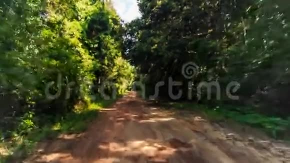 热带森林阴影地面道路上的摄像机移动视频的预览图