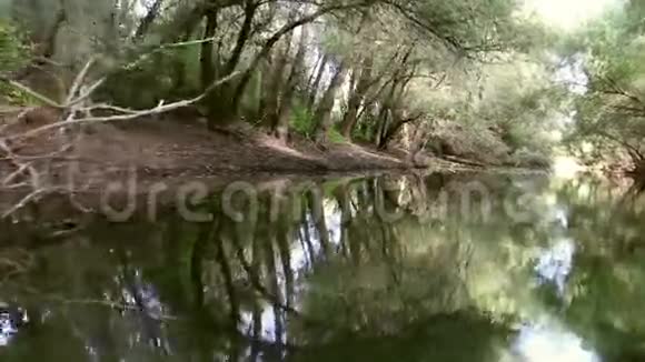 多瑙河三角洲森林湿地在运动视频的预览图