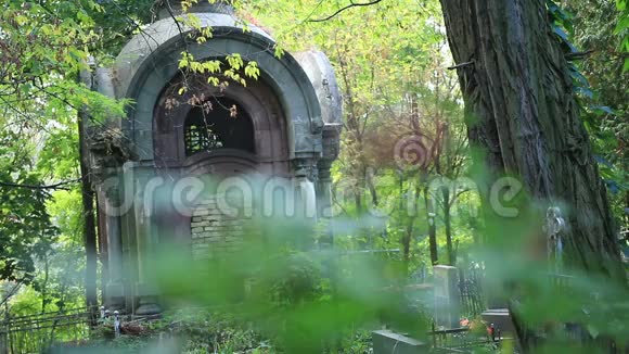 墓地里的老墓穴视频的预览图