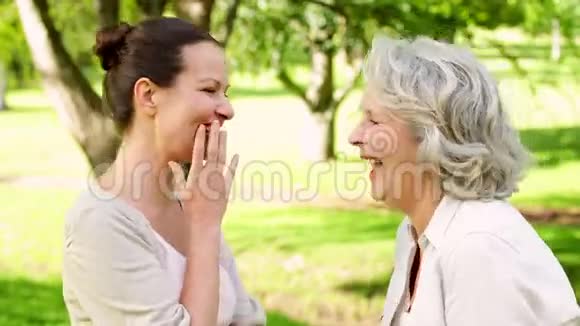 妈妈和成年女儿在公园里笑着聊天视频的预览图