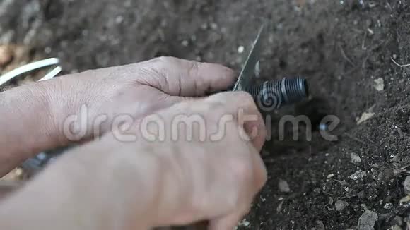 男人修剪洒水连接视频的预览图